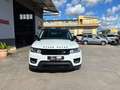 Land Rover Range Rover Range Rover 3.0 tdV6 HSE auto my17 Bianco - thumbnail 7