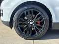 Land Rover Range Rover Range Rover 3.0 tdV6 HSE auto my17 Bianco - thumbnail 8