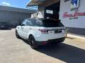 Land Rover Range Rover Range Rover 3.0 tdV6 HSE auto my17 Bianco - thumbnail 3