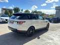 Land Rover Range Rover Range Rover 3.0 tdV6 HSE auto my17 Bianco - thumbnail 5