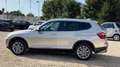 BMW X3 X3 F25 2010 xdrive20d Futura Beige - thumbnail 5