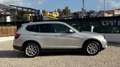 BMW X3 X3 F25 2010 xdrive20d Futura Beige - thumbnail 2