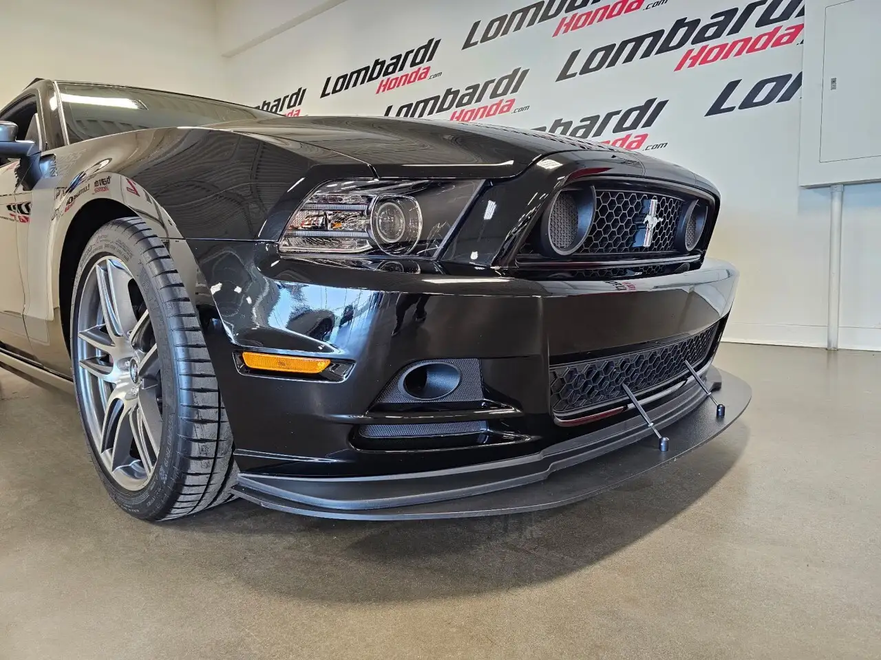 Ford Mustang fotografie Ford Mustang