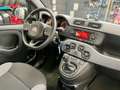 Fiat Panda Cross 0.9 t.air t. Natural Power City Cross E6 Weiß - thumbnail 10