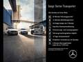 Mercedes-Benz Citan Citan 110 CDI+TOURER+KLIMA+TEMPOMAT+DAB Silber - thumbnail 21