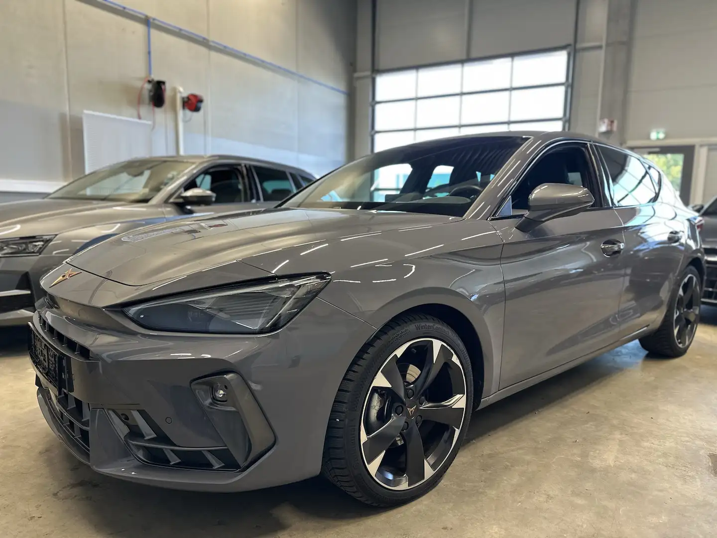 CUPRA Leon 1.5eTSI DSG EdgePaket 18´´ Winterpaket Gris - 1