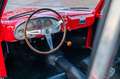 Fiat 1100 S Stanguellini | 1951 & 1952 Mille Miglia Rojo - thumbnail 16