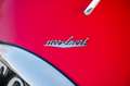 Fiat 1100 S Stanguellini | 1951 & 1952 Mille Miglia Rojo - thumbnail 12