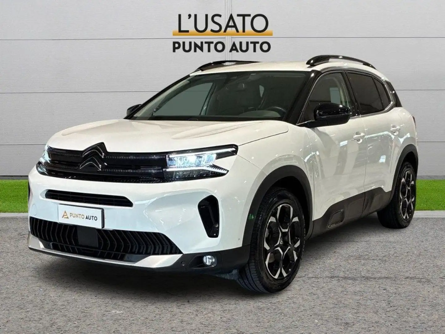 Citroen C5 Aircross BlueHDi 130 EAT8 Shine Pack Wit - 1