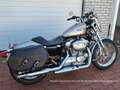 Harley-Davidson Sportster 883 XLH 883 Low - thumbnail 19
