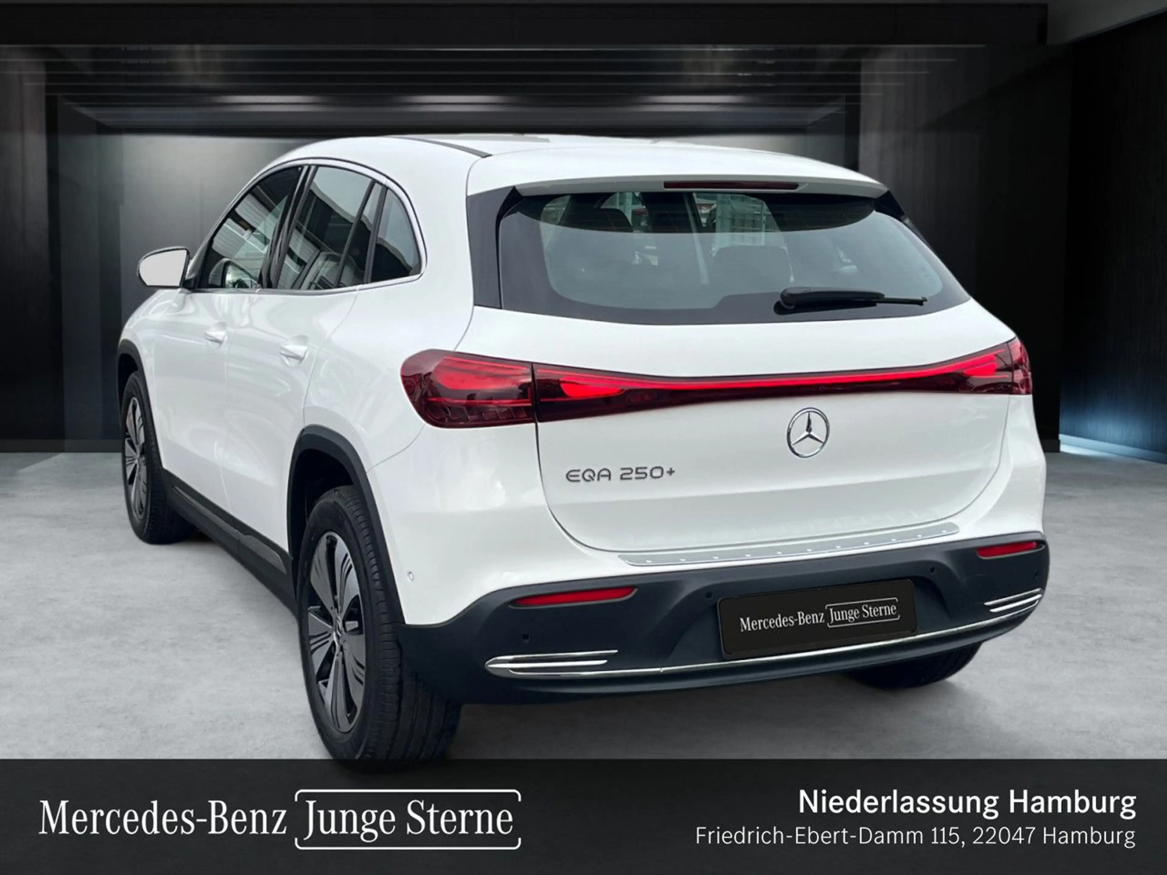 Mercedes-Benz EQA 250 PROG+ADVANCED+KAMERA+SPUR — photo 9