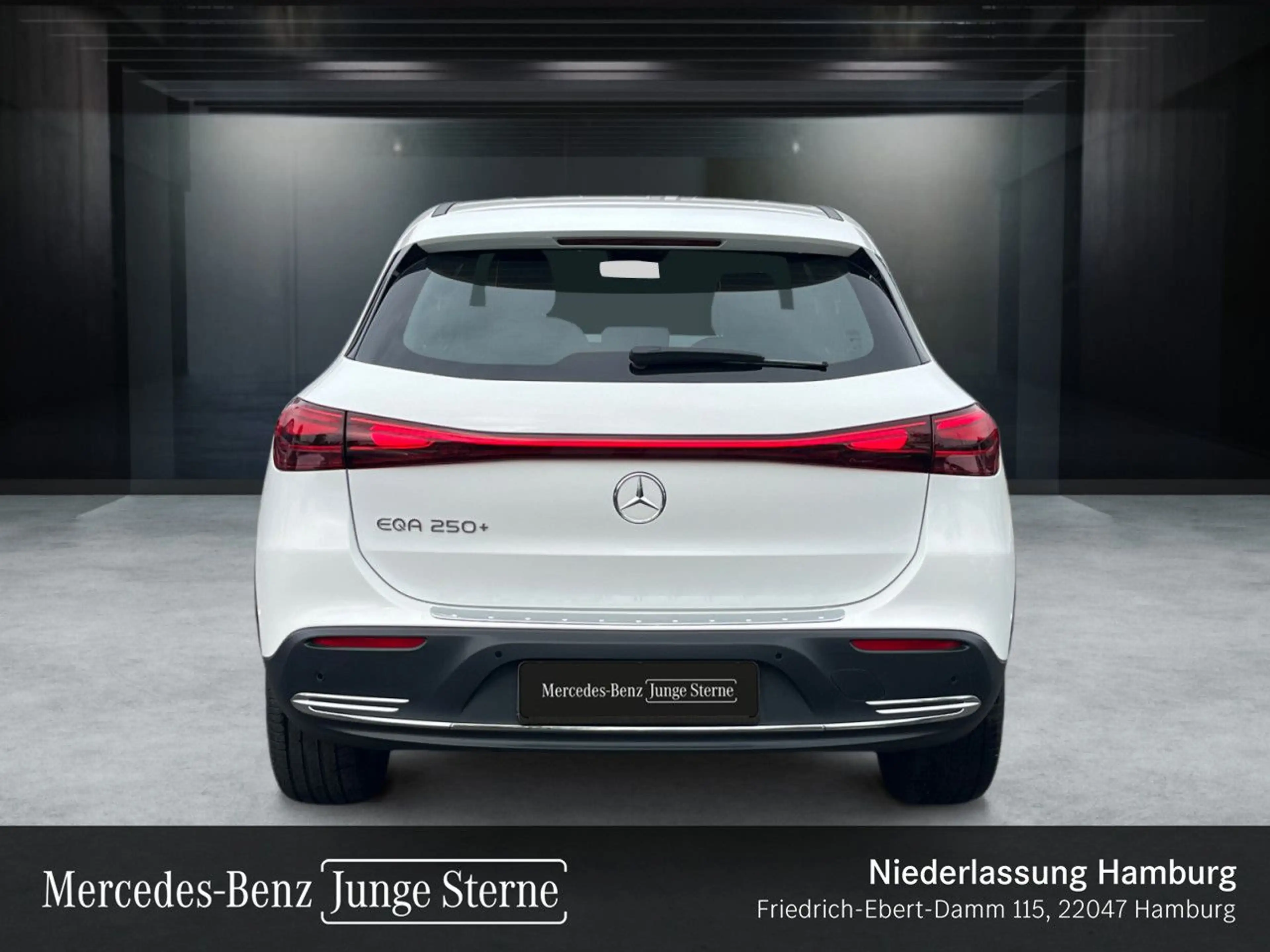 Mercedes-Benz EQA 250 PROG+ADVANCED+KAMERA+SPUR — photo 6