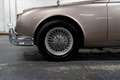 Jaguar MK II 3.8L - BVM - Overdrive Gri - thumbnail 11