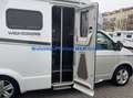 Weinsberg X-Cursion Van Edition Pepper 500 MQ 3500kg Grau - thumbnail 3
