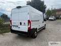 Fiat Ducato Ducato 33 2.2 Mjt 140CV AT9 PM-TM Furgone - thumbnail 7