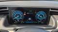 Hyundai TUCSON 1.6 HEV aut.Exellence Blu/Azzurro - thumbnail 7