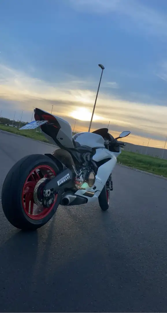 Ducati 959 Panigale White - 2