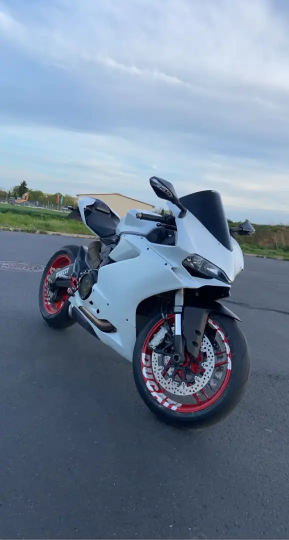 Ducati 959 Panigale Beyaz - 1