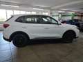 MG ZS NEW ZS 1.5L MT STD Weiß - thumbnail 6
