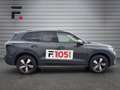 Volkswagen Tiguan Friends TDI 4MOTION DSG Grau - thumbnail 4