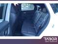 Nissan Qashqai 158 MHEV Tekna HUD Matrix ACC eHK 360° Blanco - thumbnail 6