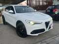 Alfa Romeo Stelvio 2.2 t B-Tech Q4 190cv auto - thumbnail 2