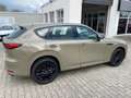 Mazda CX-60 💥Homura AWD/ 6 Zylinder-3,3L Diesel/Automatik Beige - thumbnail 3