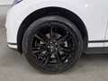 Land Rover Range Rover Velar 2.0D I4 204 CV S GARANZIA 24 MESI Blanc - thumbnail 11