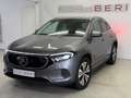 Mercedes-Benz EQA 250*AHK*DIS*Memory*Kamera Grijs - thumbnail 3