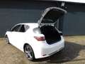 Lexus CT 200h Hybrid DEALER ONDERHOUDEN! NAVI! ACHTERUITRIJCAM! Blanco - thumbnail 5