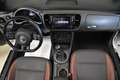 Volkswagen Maggiolino Cabrio 1.2 tsi Design 105cv ALL STAR FULL Blanc - thumbnail 30