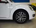 Volkswagen Maggiolino Cabrio 1.2 tsi Design 105cv ALL STAR FULL Beyaz - thumbnail 13