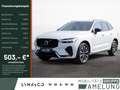Volvo XC60 B4 Plus Dark 2WD SHZ AHK FACEL. LED PANO Weiß - thumbnail 1