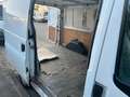 Ford Transit Weiß - thumbnail 6