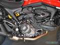 Ducati -sofort verfügbar Rood - thumbnail 5