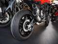Ducati - sofort verfügbar Rot - thumbnail 3