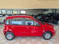 Fiat Panda Panda 1.1 Active eco Clima Rosso - thumbnail 5