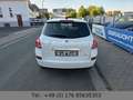 Renault Clio Grandtour Night & Day 1.5DCI*PANO*NAVI*PDC* Wit - thumbnail 3