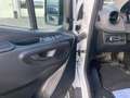 Mercedes-Benz Sprinter 316 CDI 4x4 Pritsche Standard AHK*MBUX* Weiß - thumbnail 8
