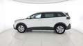 Peugeot 5008 BlueHDi 130 S&S EAT8 Business 7 Posti Blanc - thumbnail 13
