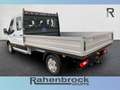 Ford Transit DoKa Pritsche 350L3 TREND 165PS M6 RWD Wit - thumbnail 6