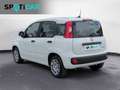 Fiat Panda 1.0 FireFly S&S Hybrid Bianco - thumbnail 7