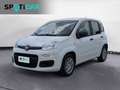Fiat Panda 1.0 FireFly S&S Hybrid Bianco - thumbnail 1