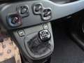 Fiat Panda 1.0 FireFly S&S Hybrid Bianco - thumbnail 14