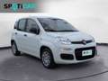 Fiat Panda 1.0 FireFly S&S Hybrid Bianco - thumbnail 3