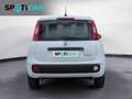Fiat Panda 1.0 FireFly S&S Hybrid Bianco - thumbnail 5