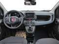 Fiat Panda 1.0 FireFly S&S Hybrid Bianco - thumbnail 8