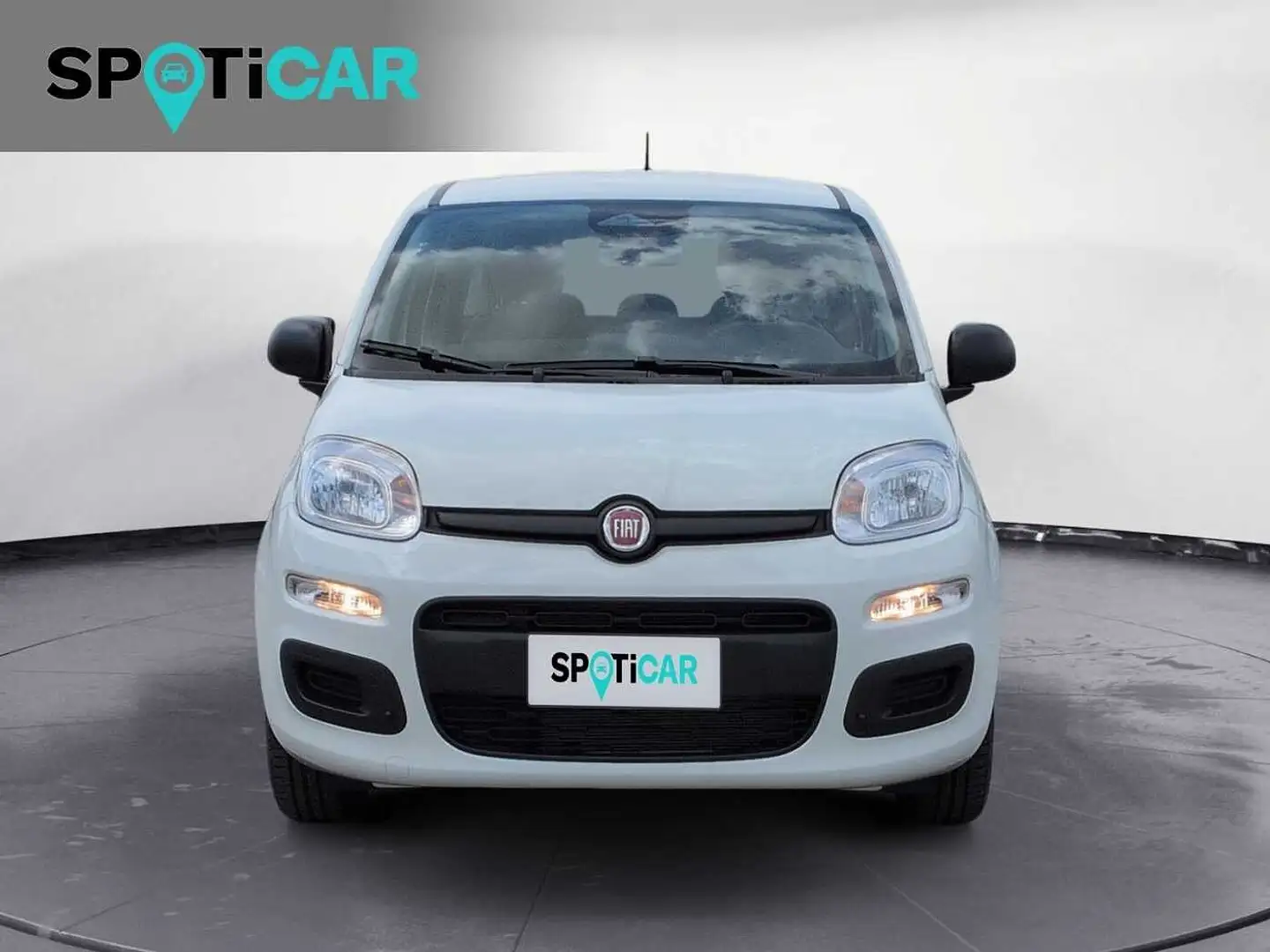Fiat Panda 1.0 FireFly S&S Hybrid Bianco - 2