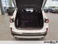 Ford Kuga 1.5 ecoblue Titanium Business 2wd 120cv auto Blanc - thumbnail 6