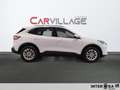 Ford Kuga 1.5 ecoblue Titanium Business 2wd 120cv auto Blanc - thumbnail 4